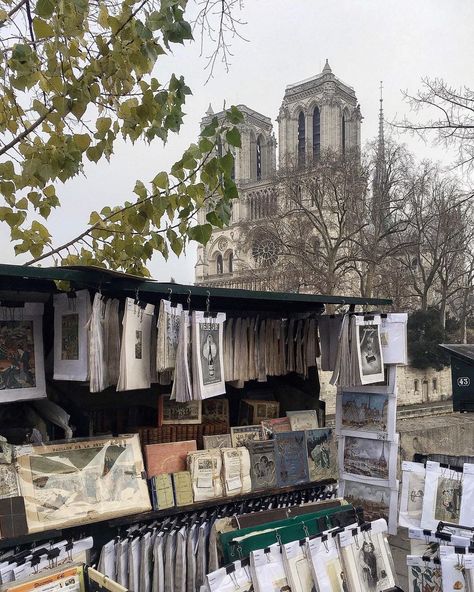 Paris In Spring, Miss Americana, Parisian Aesthetic, Paris Vibes, Parisian Vibes, Parisian Life, Moving To Paris, Paris Aesthetic, Paris Love