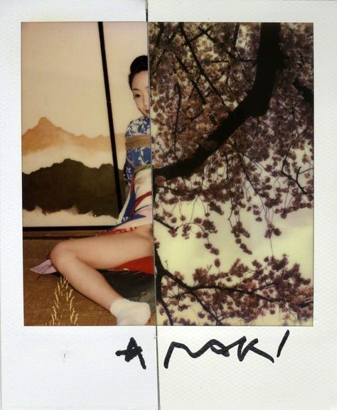 Araki Photography, Asian Editorial, Seni Korea, Nobuyoshi Araki, Black Pin Up, Polaroid Photography, Japanese Castle, Study Photography, Japanese Painting