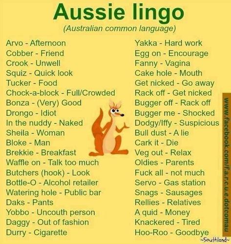 Australia Slang, Funny Aussie, Aussie Memes, Australian Memes, Meanwhile In Australia, Australian Slang, Funny Australian, Australian Accent, Australian English