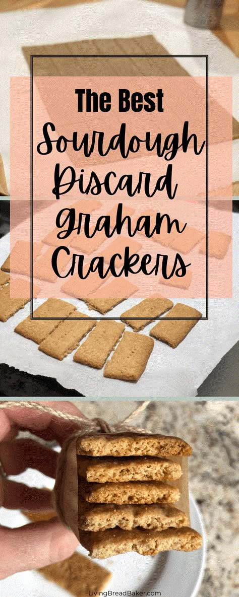 Sourdough Discard Graham Crackers, Graham Crackers Recipe, Sourdough Discard Recipe, Sourdough Starter Discard Recipes, Starter Discard Recipes, Using Sourdough Starter, Graham Cracker Recipes, Recipe Using Sourdough Starter, Sourdough Recipe