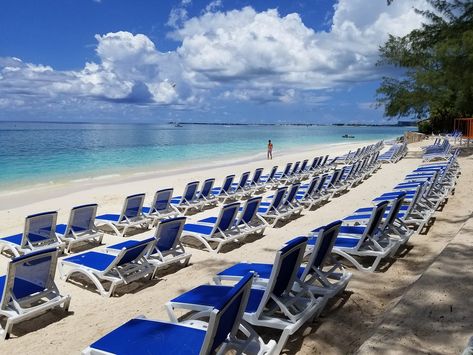 Coral Beach (George Town) - 2020 All You Need to Know BEFORE You Go (with Photos) - TripAdvisor George Town Cayman Islands, Carnival Freedom, Carnival Horizon, Grand Cayman Island, Cayman Island, Coral Beach, George Town, Carnival Cruise Line, Panama Canal