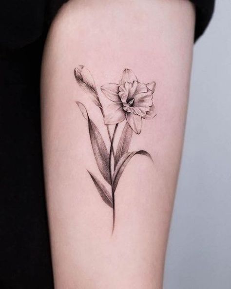 October Birth Flower Tattoo. Narcissus Flower Tattoo Realism, Narccicus Flower Drawing, Forearm Daffodil Tattoo, Defodiles Flower Tattoo, Southern Flower Tattoo, Narcissus And Snowdrop Flower Tattoo, January And April Flower Tattoo, Paper White Narcissus Flower Tattoo, Violet Daffodil Tattoo