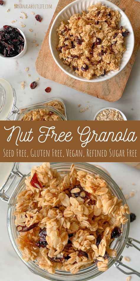 Nut Free Granola Recipe, Honey Granola Recipe, Healthy Chocolate Zucchini Bread, Gluten Free Granola Recipe, Healthy Homemade Granola Recipe, Homemade Granola Bars Healthy, Nut Free Granola, Sugar Free Granola, Homemade Granola Healthy