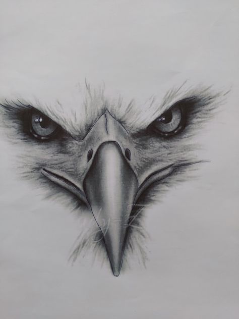 Eagle Drawing Sketches, Eagle Head Drawing, American Flag Artwork, Cars Mural, Eagle Sketch, Bird Tattoo Men, Bird Watercolor Art, Hard Drawings, Eagle Artwork