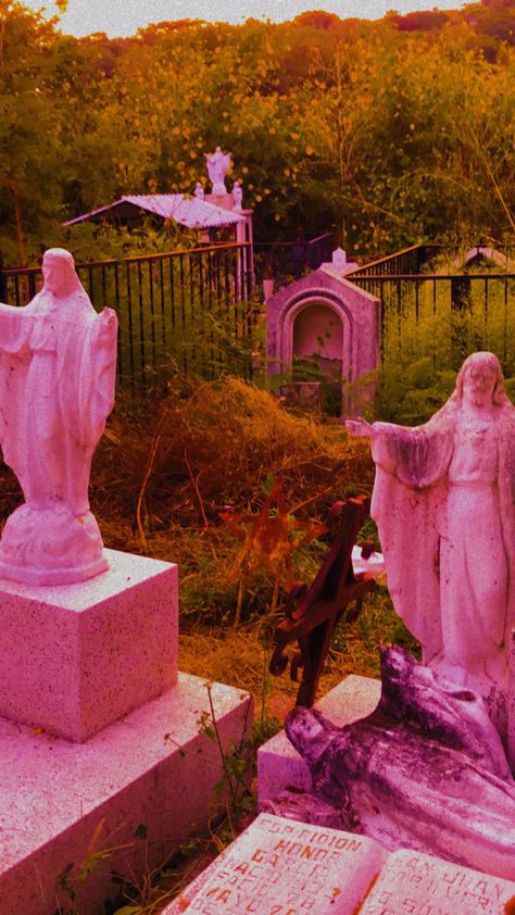 Mexican Cemetery, Pink Stuff, Cemetery, Art Wallpaper, Ghost, Jesus, Collage, History, Halloween