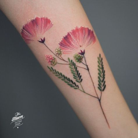 @magdalena_bujak Persian Silk Tree Tattoo, Mimosa Tree Tattoo, Mimosa Flower Tattoo, Persian Silk Tree, Mimosa Flower, Mushroom Tattoos, Delicate Tattoo, Silk Tree, Memorial Tattoos