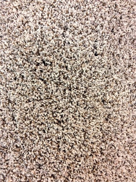 Speckled Carpet, Silver Grey Carpet, Black Staircase, Round Carpet Living Room, Colors For Kids, Neutral Carpet, Carpet Stores, Hallway Carpet Runners, Shag Carpet