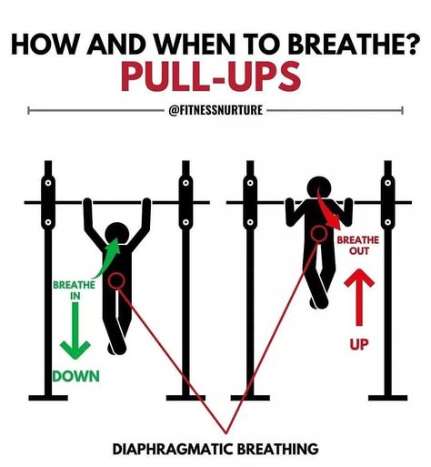 Dumbbell Chest Workout At Home, At Home Chest Workout, Upper Chest Workout, Muscular Strength Exercises, Home Chest Workout, Big Chest Workout, Dumbbell Chest Workout, Pull Up Workout, Chest Workout At Home