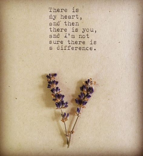 Opa's Typewriter on Instagram: “For all love 🐦 out there.  #opastypewriter #heartquote #quotes #phrases #sayings #typewriter #typewriterquotes #lovequotes #quoteoftheday…” Typewritten Quotes, Quotation Format, Typewriter Quotes, Typewriter Art, Typewriter Poetry, True Sayings, Vintage Typewriter, Vintage Typewriters, Time Quotes