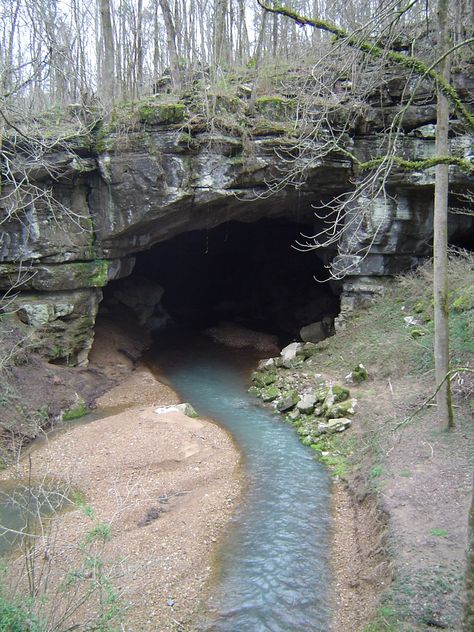 Cragmaw Hideout, Cave Hideout, Alabama Travel, Caving, The Cave, Alam Semula Jadi, National Monuments, In The Woods, Land Scape