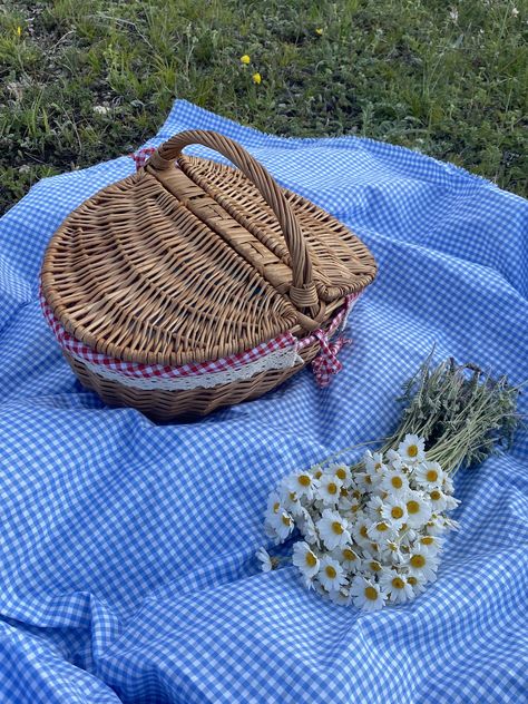 Blue Gingham Aesthetic, Blue Picnic Aesthetic, Blue And White Picnic, Anniversary Picnic, Blue Neighborhood, Cozy Core, Blue Picnic, Blue Neighbourhood, Cottage Aesthetic