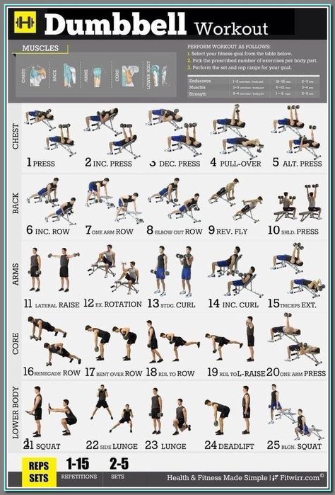 (ad) Workout Routines For Men beyond 40 Fitness Studio Training, Workout Programs For Women, Workout Man, Bench Workout, Dumbbell Exercises, Yoga Balance, Motivație Fitness, Gym Antrenmanları, Gym Poster