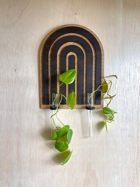 Little Retreats Shop — LITTLE RETREATS Plant Propagation Wall, Plant Arch, Shade Loving Plants, Art Deco Plant, Hanging Wall Planters, Perennial Bulbs, Shade Garden Plants, Propagation Station, Lenten Rose