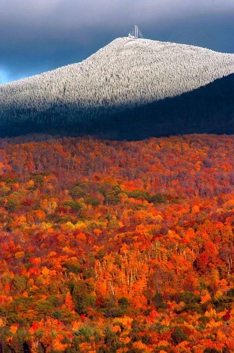 Killington, Vermont...snow on the leaves. wow New England States, Mt Washington, Mount Washington, Image Nature, Autumn Scenes, White Mountains, Colorful Trees, Autumn Scenery, Destination Voyage