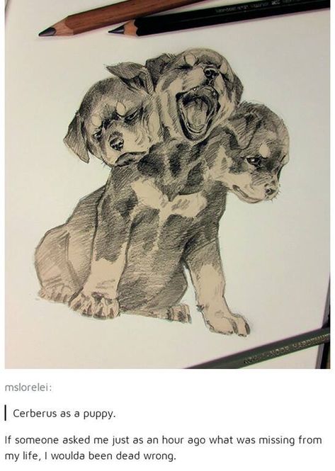 Greek Mythology Art Drawing, Cerberus Puppy, Arte Sketchbook, Wow Art, Fantastic Beasts, A Drawing, Greek Mythology, Drawing Techniques, Mythical Creatures