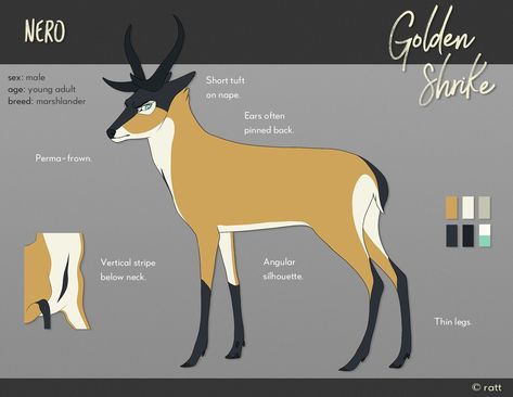 Golden Shrike, Deer Oc, Body Bases, Coat Ideas, Deer Drawing, Animated Animals, Deer Art, Dreamworks Trolls, Nice Art