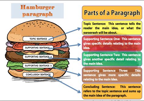 Hamburger Paragraph, Writing A Paragraph, Personal Essay, 5th Grade Writing, Informative Essay, Topic Sentences, Writing Anchor Charts, Study Project, Best Essay Writing Service