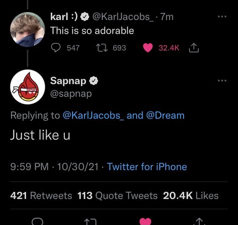 Karlnapity Bottom Sapnap, Karlnap Tweets, Karlnap Hugging, Dream And Karl Kiss, Karl Jacobs And Sapnap, Like U, Make You Feel, Tweet Quotes, Incoming Call Screenshot