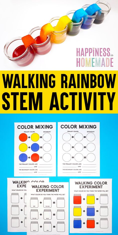 Walking Rainbow STEM Activity for Kids: a simple science experiment that includes colorful science lessons for kids of all ages! Plus, get 16 Bonus FREE printable STEM activities and worksheets! Pre K Stem Activities, First Grade Stem Activities, Easy Stem Activities Elementary, Rainbow Worksheet, Rainbow Stem, Steam Activities Elementary, Storybook Village, Stem Activity For Kids, Rainbow Lessons