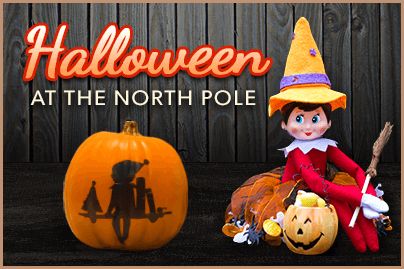 Elf On Shelf Halloween Ideas, Halloween Elf On The Shelf Ideas, Elf On The Shelf Pumpkin, Elf On The Shelf Halloween, Pumpkin Elf, Halloween Primitives, Facts About Halloween, Halloween Food Dinner, Elf Pets