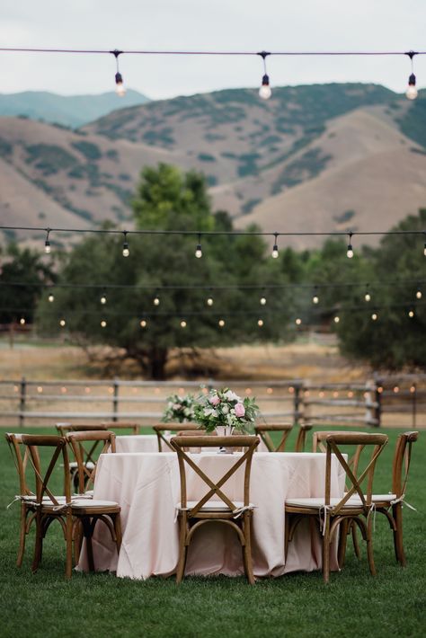 This past summer we were able to design an event for Morgan + Murphy for their wedding at the beautiful Quiet Meadow Farm in the orchard. #RachaelEllenEvents Meadow Wedding Reception, Romantic Vineyard Wedding, Classic Bridal Look, Utah Wedding Venues, 18th Birthday Party Ideas, Farm Resort, Meadow Wedding, Wedding Venues Utah, Pink Weddings