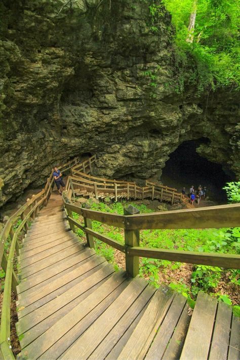 Maquoketa Caves State Park, Iowa: See 74 reviews, articles, and 77 photos of Maquoketa Caves State Park, ranked No.38 on TripAdvisor among 685 attractions in Iowa. Iowa Road Trip, Iowa Travel, Adventure Ideas, Midwest Travel, Camping Places, Camping Destinations, Quad Cities, Fairy Queen, Road Trip Usa