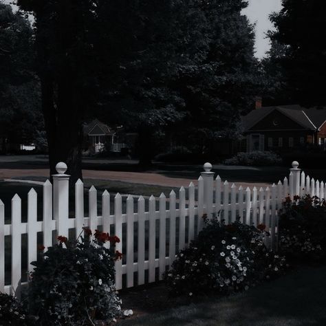 Fences Design, Living Fences, Wayward Pines, Vinyl Picket Fence, Laurie Strode, Silent Comedy, Sarah Adams, Wood Privacy Fence, Privacy Fence Designs