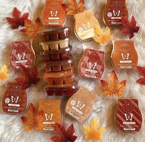 Fall is just my absolute favorite! Im in live with all my Scentsy fall scents! 😍💕Which one makes you feel super homey? Any fall fans? 🍂 Scentsy September 2023, Fall 2023 Scentsy, Scentsy Fall 2024 Banner, Scentsy Fall Winter 2023 Scents, Scentsy Fall Winter 2023/2024, Scentsy Fall Winter 2022, Scentsy Fall Winter 2023, Scentsy Fall, Scentsy Candles