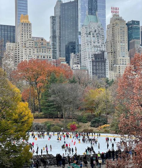 Thanksgiving In New York, Brooklyn City, Nyc Aesthetic, New York Aesthetic, New York Life, Nyc Trip, I ❤ Ny, The Plaza, Concrete Jungle