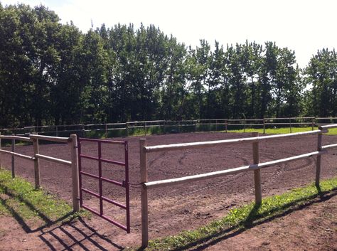 Training Cheap Arena Fencing, Outdoor Arena Horses Diy, Outdoor Horse Arena, Horse Business, Pipe Fence, Horse Tack Rooms, Tack Rooms, Horse Arena, Horse Barn Plans