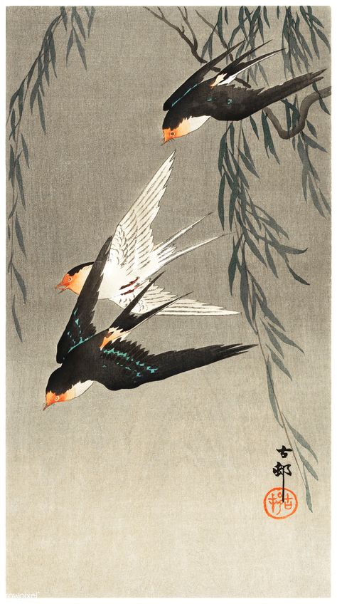 Three red-tailed swallows in dive (1900-1930) by Ohara Koson (1877-1945). Original from The Rijksmuseum. Digitally enhanced by rawpixel. | free image by rawpixel.com / Rijksmuseum (Source) Japanese Bird, Japan Painting, Art Chinois, Ohara Koson, Japanese Artwork, Wildlife Paintings, Eastern Art, 수채화 그림, Art Japonais