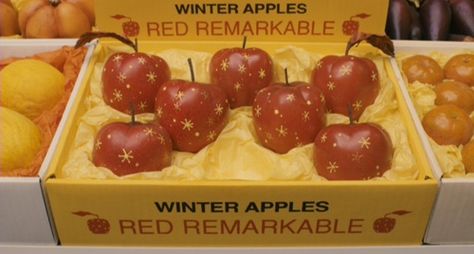 "These apples may look fake, but at least they have stars on them." Wes Anderson Aesthetic, Fox Party, Fantastic Fox, Wes Anderson Movies, Wes Anderson Films, Fantastic Mr Fox, Mr Fox, Wes Anderson, Linoleum