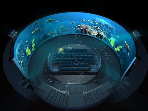 Amazing 360 Degree Round Frame Projection Screen Museum Exhibition Design, Curved Screen, Aquarium Design, Projection Screen, Interactive Installation, Projection Mapping, Theatre Design, Video Wall, Screen Design