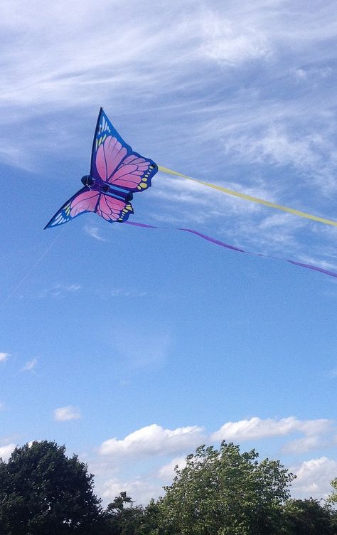 Kite Aesthetic Photography, Kite Festival Photography, Pink And Blue Butterfly, Butterfly Kite, Big Kites, Kite Designs, Go Fly A Kite, Kite Festival, Butterfly Designs