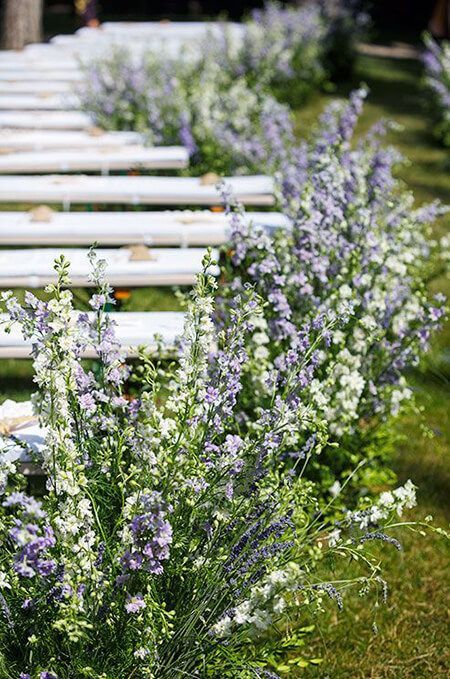 Picture of a beautiful spring wedding aisle decorated with white and lilac blooming branches creates a garden feel in the space easily Aisle Ideas, White Wildflowers, Garden Dinner, Wedding Fancy, Colin Cowie, Aisle Decorations, Lavender Bridesmaid, Fresh Rose Petals, Wedding Wows