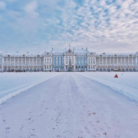 Catherine palace, Pushkin, Saint Petersburg. The Winter Palace Saint Petersburg, St Petersburg Palace, Winter Palace Aesthetic, Russian Palace Aesthetic, Catherine Palace St Petersburg, Russia Palace, Russian Palace, Winter Palace St Petersburg, Russian Palaces