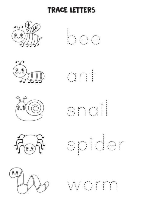 Trace words. Educational game for kids. Cute insects. Insect Vocabulary Preschool, Insect Tracing Preschool, Spiders Worksheet, Insects Worksheets Preschool, Insects Worksheets For Kids, Insect Worksheets Preschool, Insects Activities Preschool, Insect Preschool Activities, Bugs And Insects Preschool Activities