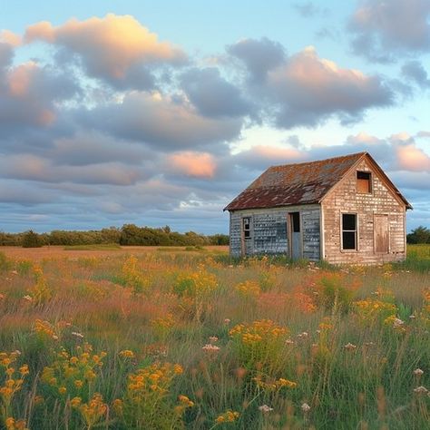 As the day draws to a close, the soft glow of the setting sun casts a warm light over an abandoned house that has stood the test of time. Surrounded by a sea of wildflowers, the timeworn structure holds the secrets of a bygone era, its weathered walls bearing witness to countless sunsets. This tranquil scene captures the essence of rural abandonment and the unstoppable march of nature as it reclaims its space. House In Flower Field, Reference Photos Landscape, House In Field, Landscape References, Country Scenery, Photos Painting, Abandoned Structures, Rural Photography, Landscape Reference