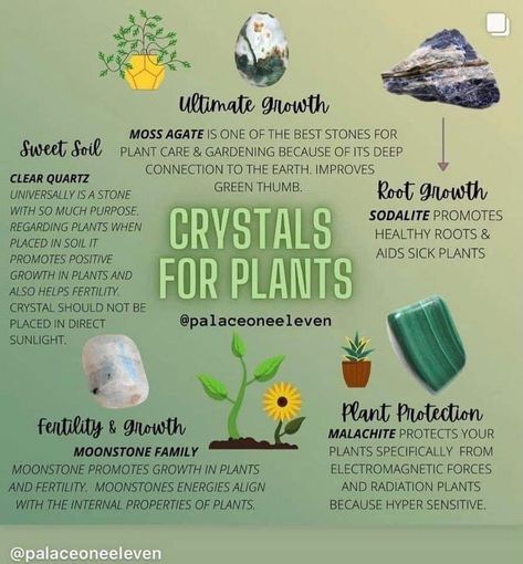 Spells For Plant Growth, Crystals To Help Plants Grow, Crystals For Plants Health, Crystals For Green Witch, Crystals For Plant Growth, Plant Powers Magic, Crystal Storage Ideas, Plant Crystals, Crystals For Plants