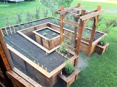 Vegetable Garden Design With Seating, Raised Garden Bed Materials, Backyard Garden Layout Design, Raised Garden Beds Layout, Raised Planters, Keyhole Garden, Elevated Garden, Garden Bed Layout, Raised Bed Garden