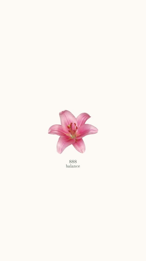 888 Balance, Pink Wallpaper, Pink Flower, Wallpaper Quotes, Pretty Wallpapers, Fondos De Pantalla, Wallpapers, Iphone, Flowers