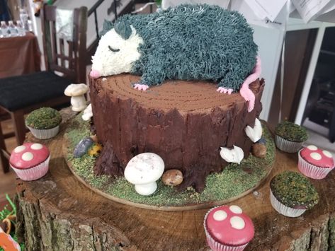 Possum Theme Party, Opossum Birthday Party, Possum Birthday Cake, Opossum Cake, Possum Cake, Opossum Birthday, Possum Party, Possum Birthday, Raccoon Cake