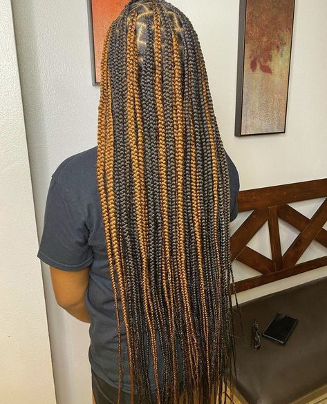 Colour 30 Peekaboo Braids, Brown Skunk Stripe Braids, Black Braids With Brown Highlights, Black And Brown Knotless Braids, Black And Brown Box Braids, Brown And Black Braids, Box Braids Protective Styles, Box Braid Hairstyle, Baddie Braids