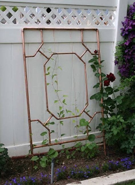 38+ DIY Trellis Ideas You Can Build Yourself | Simplified Building Canada Wall Mounted Trellis, Cattle Panel Trellis, Patio Trellis, Wire Trellis, Wall Trellis, Diy Garden Trellis, Trellis Ideas, Bamboo Trellis, Diy Trellis