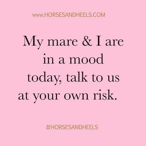 Mare Quotes, Freya Ridings, Equestrian Memes, Horse Sayings, Cowgirl Things, Equine Quotes, Funny Horse Memes, Horse Humor, Horse Girl Problems