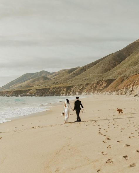 Big Sur + Carmel Wedding Photo + Video (@nadeensparksphoto) • Instagram photos and videos Carmel Photoshoot, Modern Engagement Photos, Carmel Weddings, Big Sur Wedding, Carmel Valley, By Your Side, Big Sur, Engagement Photo, Wedding Photo