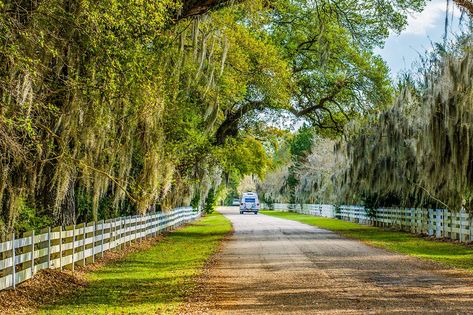 10 Best Road Trips near New Orleans - Escape to Louisiana This Weekend! – Go Guides Biloxi Lighthouse, Battle Of New Orleans, Best Road Trips, Lake Pontchartrain, Scenic Road Trip, Scenic Travel, Scenic Roads, Ghost Tour, Scenic Byway