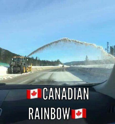 Funny Christmas Meme, Canada Jokes, Canadian Stereotypes, Canadian Memes, Canada Memes, Canadian Humor, Winter Humor, Christmas Meme, Meanwhile In Canada