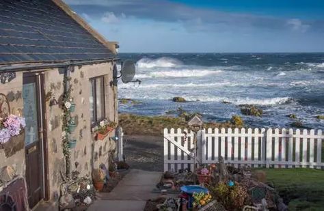 Pew with a View - Seafront Cottages 【 MAR 2023 】 House in Sandhaven, United Kingdom Sea Side Cottage, Pictures Of Turtles, Garden By The Sea, Scottish Cottage, Cottage Design Plans, Cottages By The Sea, Cottage By The Sea, Sea Side, Vacation Inspiration