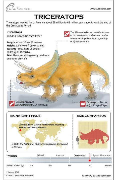 Types Of Dinosaurs, Prehistoric Animals Dinosaurs, Dinosaur Facts, Cretaceous Period, Prehistoric World, Dinosaur Activities, Educational Infographic, Extinct Animals, Dinosaur Theme